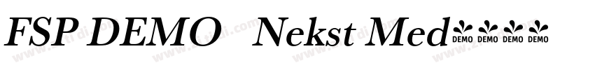 FSP DEMO   Nekst Med字体转换